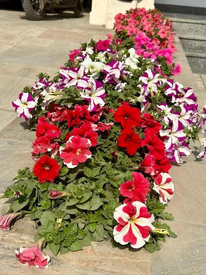 Yuloko Guest House Katmandu 0*,  Nepál